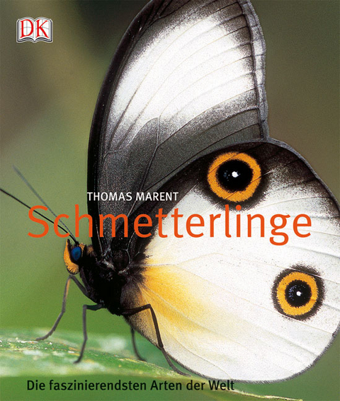 Schmetterlinge - Thomas Marent