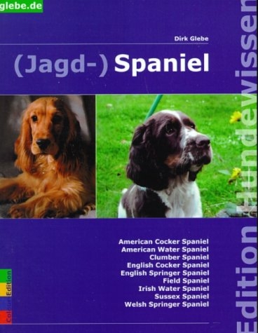 (Jagd-)Spaniel - Dirk Glebe