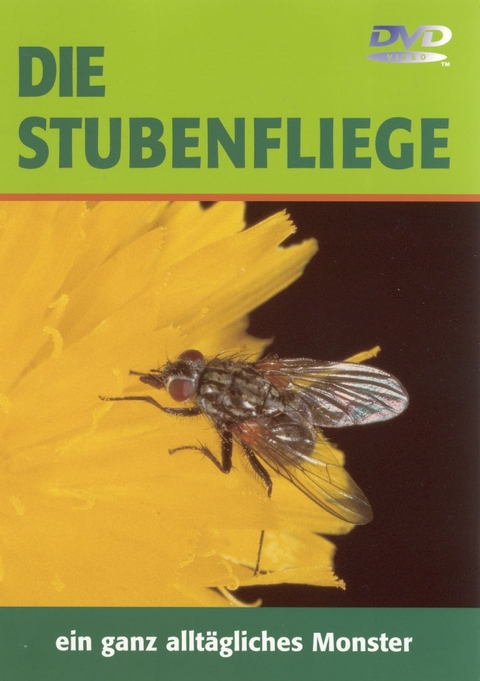 Die Stubenfliege