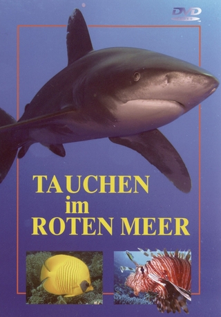 Tauchen im Roten Meer