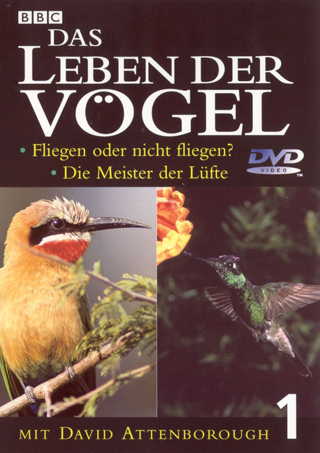 Das Leben der Vögel. Paket / Fliegen oder nicht fliegen?