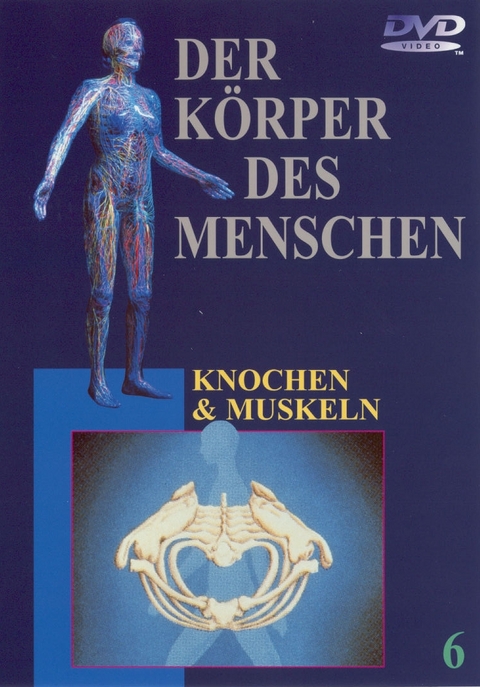 Der Körper des Menschen. Paket