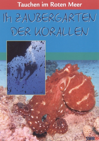 Tauchen im Roten Meer - Im Zaubergarten der Korallen