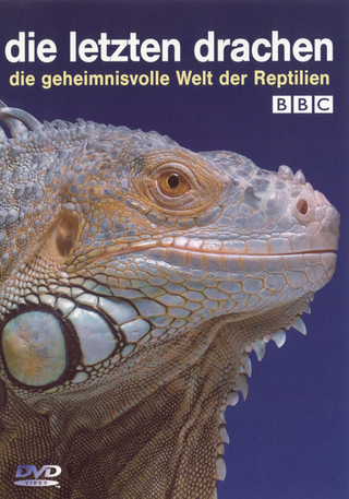 Die letzten Drachen