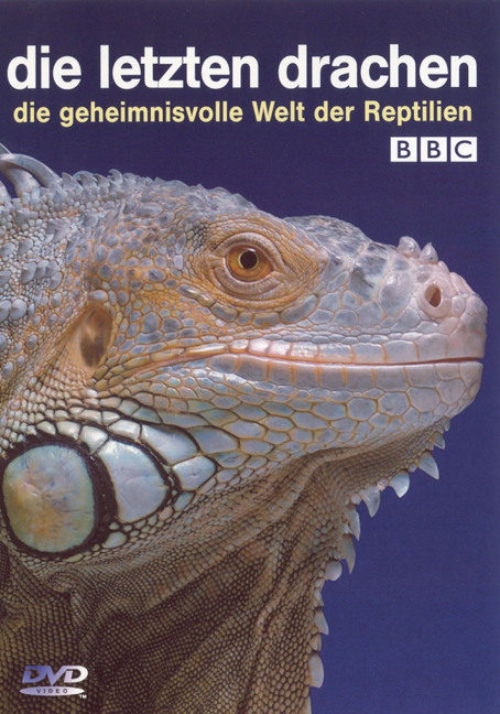 Die letzten Drachen