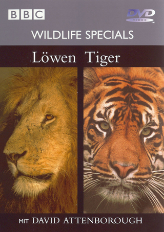 BBC Wildlife Specials / Löwen & Tiger