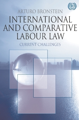 International and Comparative Labour Law - Arturo Bronstein