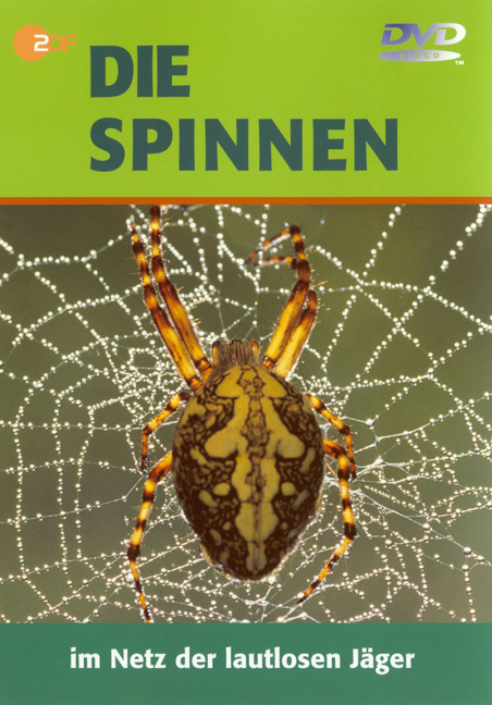 Die Spinnen