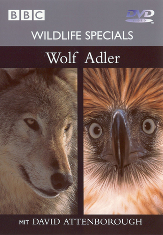 BBC Wildlife Specials / Wolf & Adler