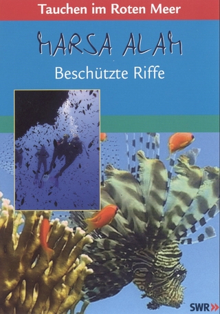 Tauchen im Roten Meer - Marsa Alam