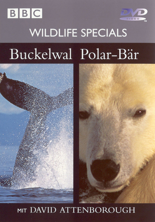 BBC Wildlife Specials / Buckelwal & Polar-Bär