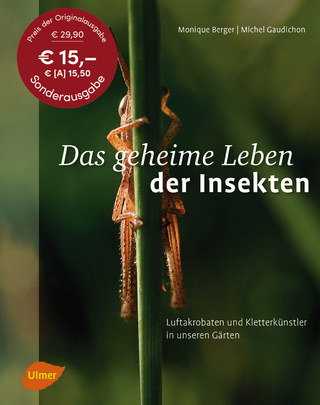 Das geheime Leben der Insekten