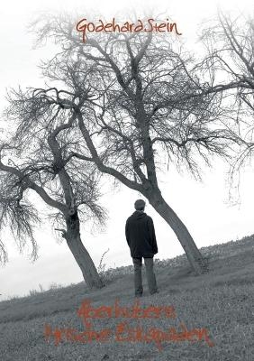 Aberhuberts lyrische Eskapaden - Godehard Stein