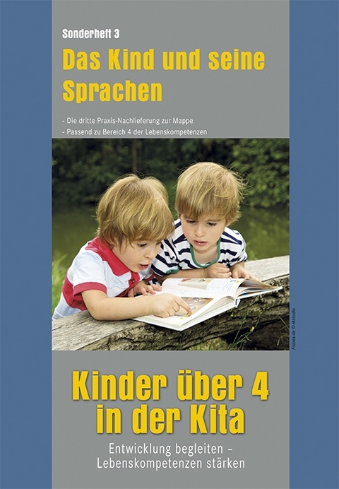 Kinder &uuml;ber 4 in der Kita. Entwicklung begleiten - Lebenskompetenzen st&auml;rken