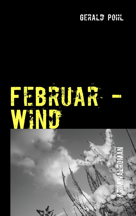 Februar - Wind - Gerald Pohl