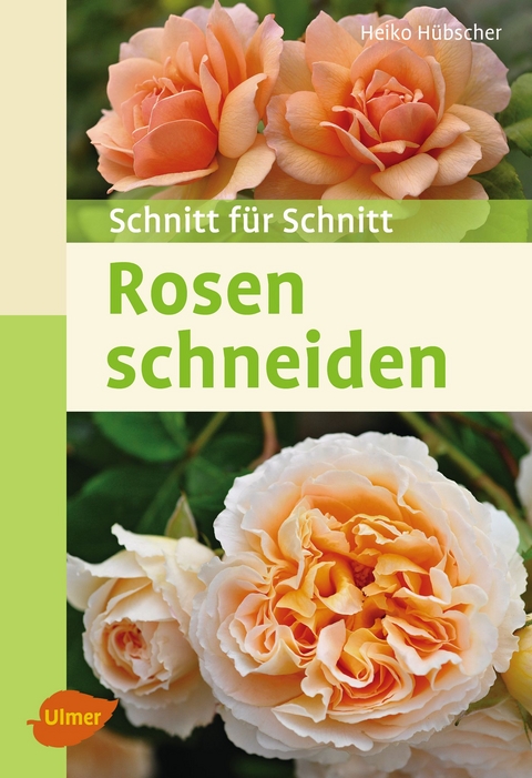 Rosen schneiden - Heiko H&uuml;bscher
