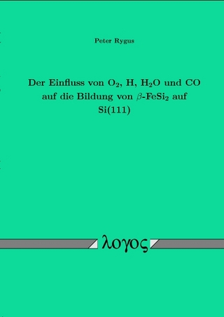 Der Einfuß von O2, H, H2O und CO auf die Bildung von beta-FeSi2 auf Si(111)