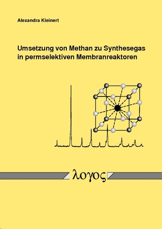 Umsetzung von Methan zu Synthesegas in permselektiven Membranreaktoren