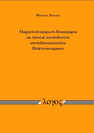Magnetotransport-Messungen an lateral modulierten zweidimensionalen Elektronengasen