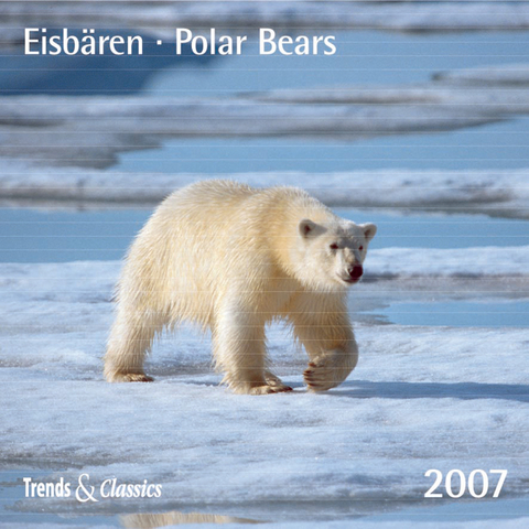 Eisb&auml;ren - T&C 2007