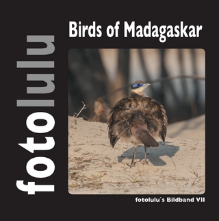 Birds of Madagaskar