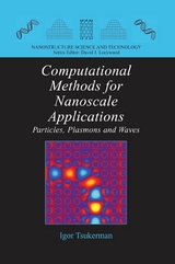 Computational Methods for Nanoscale Applications - Igor Tsukerman