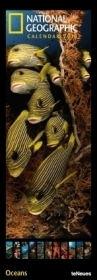 2010 "National Geographic" Oceans King Size Calendar