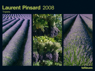 2008 Triplets Horizontal Poster Calendar