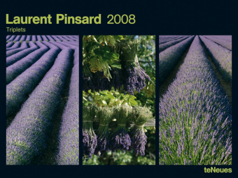 2008 Triplets Horizontal Poster Calendar