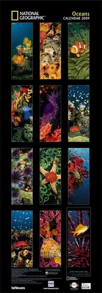 2009 Ng Oceans King Size Wall Calendar