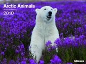 2010 Arctic Animals Poster Calendar - 