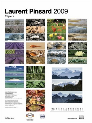 2009 Laurent Pinsard Triplets Poster Calendar
