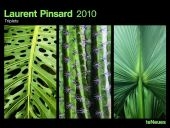 2010 Laurent Pinsard Triplets Poster Calendar