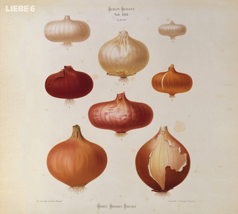 Liebe 6 - Hagen Rether