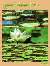 2010 Laurent Pinsard Triplets Poster Calendar - 