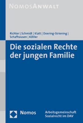 Die sozialen Rechte der jungen Familie - Ronald Richter, Bettina Schmidt, Michael Klatt, Gudrun Doering-Striening, Martin Schafhausen, Hajo A. K&ouml;hler