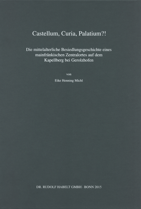 Castellum, Curia, Palatium?! - Eike Henning Michl