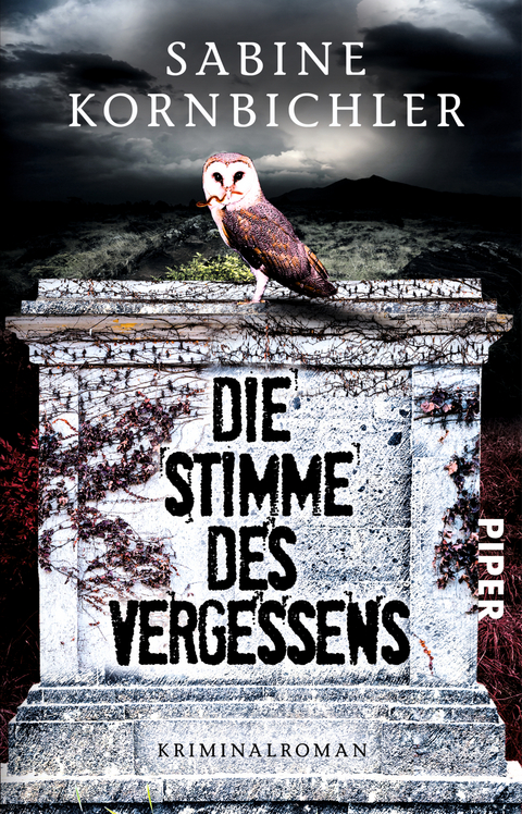 Die Stimme des Vergessens - Sabine Kornbichler