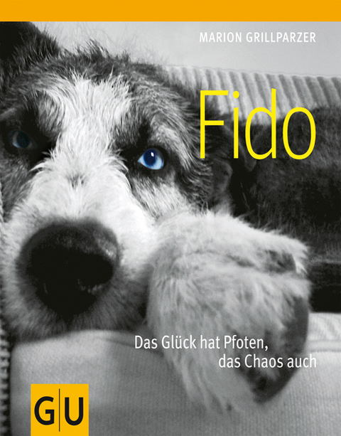 Fido - Marion Grillparzer