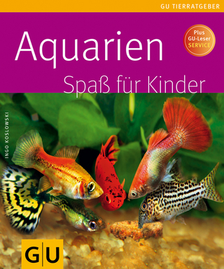 Aquarien Spaß für Kinder
