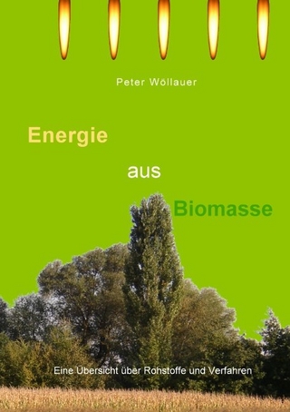 Energie aus Biomasse