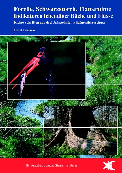 Forelle, Schwarzstorch, Flatterulme - Indikatoren lebendiger B&auml;che und Fl&uuml;sse - Gerd Janssen