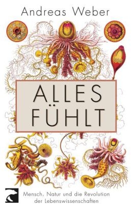Alles f&uuml;hlt - Andreas Weber