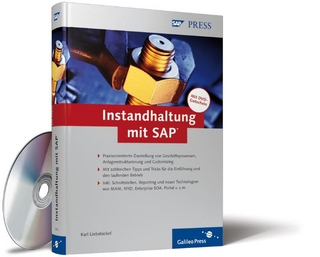 Instandhaltung mit SAP