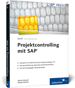 Projektcontrolling mit SAP