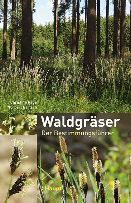 Waldgr&auml;ser - Christine Rapp, Norbert Bartsch