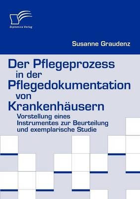 Der Pflegeprozess in der Pflegedokumentation von Krankenh&auml;usern - Susanne Graudenz