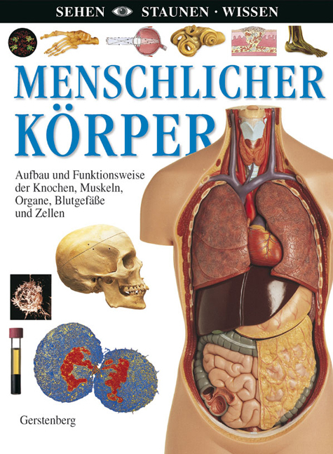 Menschlicher K&ouml;rper