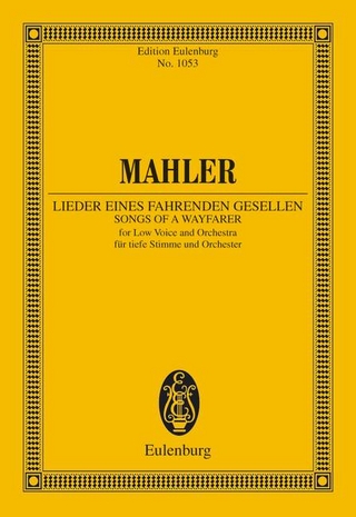 Lieder eines fahrenden Gesellen