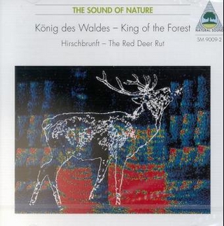 König des Waldes - Hirschbrunft